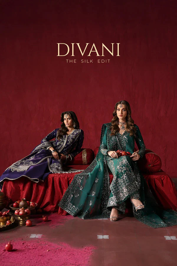 DIVANI SILK EDIT '24
